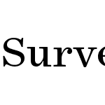 Surveyor Text