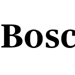 Bosch Serif