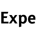 Expert Sans