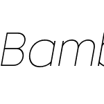 Bambino New