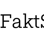 Fakt Slab Pro