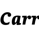 Carrefour Serif