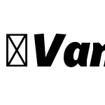 VanSans-BlackItalic