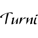 Turnier