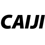 CAIJIN Pro