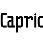 CapricornSerif-Regular