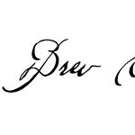 Brev Script Personal Use