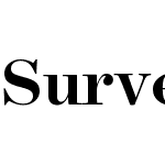 Surveyor Display