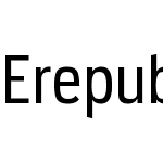 Erepublic Sans