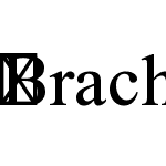 BrachaMF-Regular