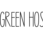 Green Hostel