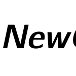 NewComputerModernSans10