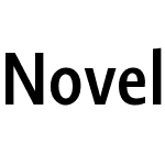 Novel SansCond Pro