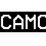 Camcorder