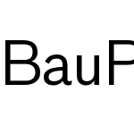 Bau Pro