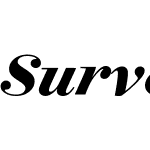 Surveyor Display