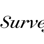 Surveyor Display