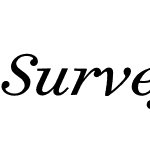 Surveyor Text