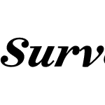 Surveyor Text