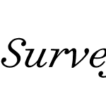 Surveyor Text