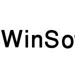 WinSoft Pro