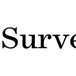 Surveyor Text