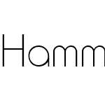 Hammer