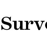 Surveyor Text