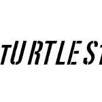 Turtles Italic