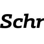 Schnebel Slab Pro Expand