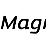 Magnetic Pro