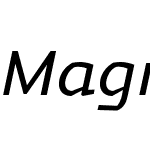 Magnetic Pro