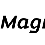 Magnetic Pro