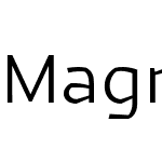 Magnetic Pro