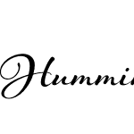 Hummingbird Basic