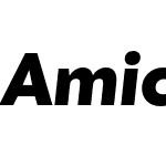 Amica Pro