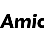 Amica Pro