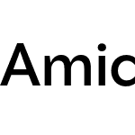 Amica Pro