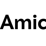 Amica Pro