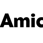 Amica Pro