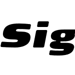 Signa Round Pro