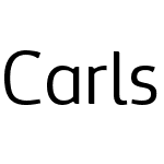 Carlsberg Sans