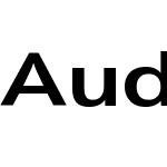 Audi Sans