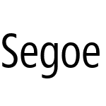 Segoe Pro