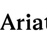 Ariata Text