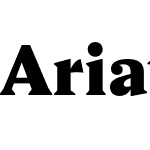 Ariata Text