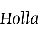 Hollander Pro