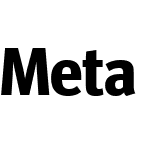 Meta Head Pro