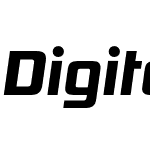 Digital Sans Now ML Pro