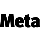 Meta Head Pro